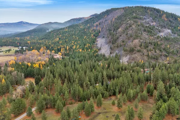 Plains, MT 59859,Nhn Swamp Creek RD