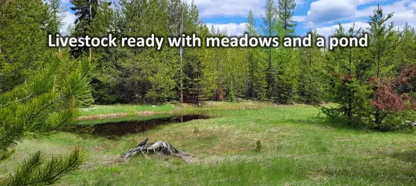 Marion, MT 59925,9411/9415 Lost Prairie RD