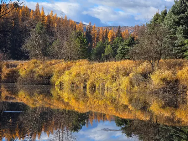 Yaak, MT 59935,1310 Tamarack LN