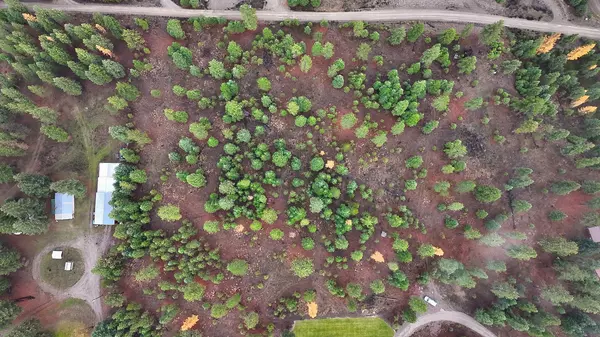 Libby, MT 59923,186 Gold Dust TRL