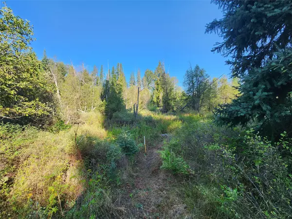 Troy, MT 59935,174 Double Creek LN