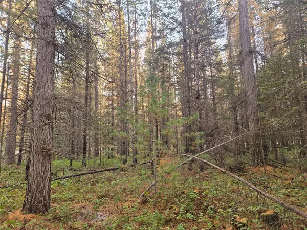 Trout Creek, MT 59874,NHN MT HWY 200