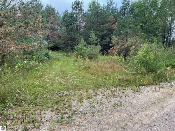 West Branch, MI 48661