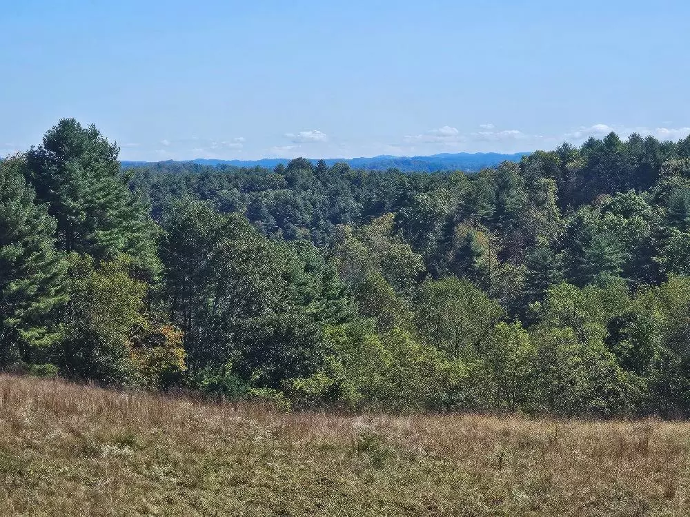 Hillsville, VA 24343,TBD Homestead Rd