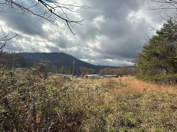 Narrows, VA 24124,113 Verna Ln