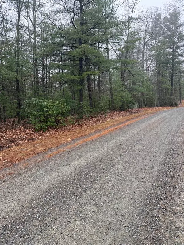 Galax, VA 24333,TBD Forest Green Dr