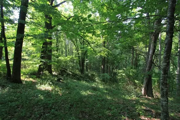 Independence, VA 24348,108 Point Lookout Ln.