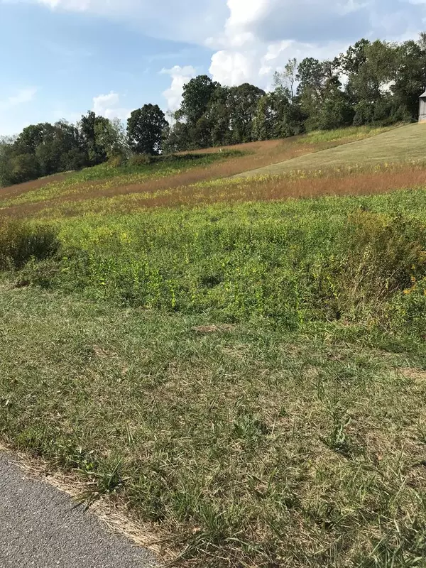 Chilhowie, VA 24319,TBD Lot #29 Chestnutwood Drive