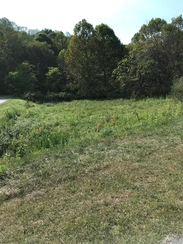 Chilhowie, VA 24319,TBD Lot#15 Chestnutwood Drive