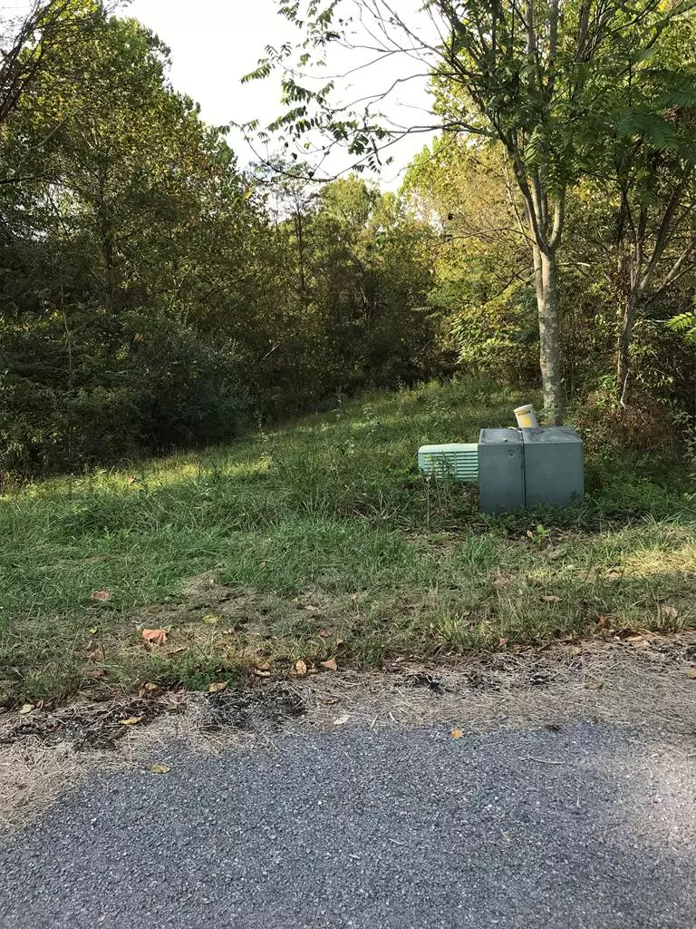 Chilhowie, VA 24319,TBD Lot #14 Chestnutwood Drive