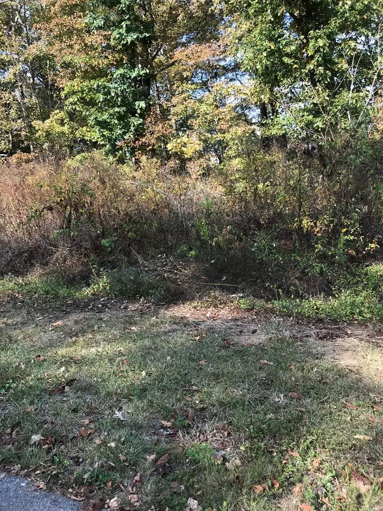 Chilhowie, VA 24319,TBD Lot #11 Elem Drive