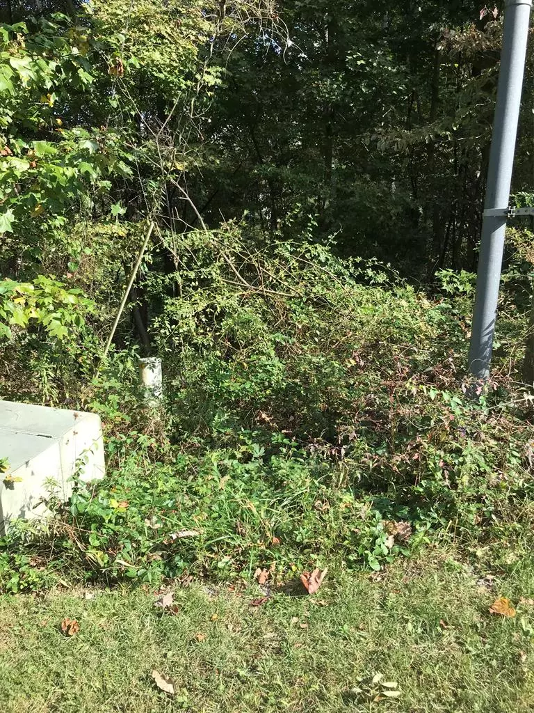 Chilhowie, VA 24319,TBD Lot#45 Chestnutwood Drive