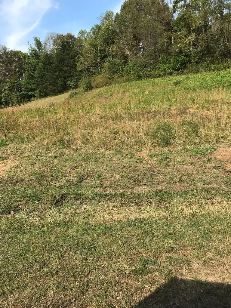 Chilhowie, VA 24319,TBD Lot #38 Brooke Street