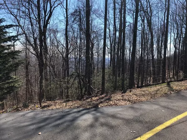 Fancy Gap, VA 24328,TBD Old Home Trail