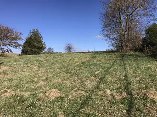 Wytheville, VA 24382,TBD Holston Road
