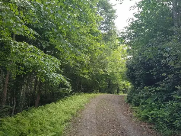 Ennice, NC 28623,TBD Crestview Mountain Dr Lot 43