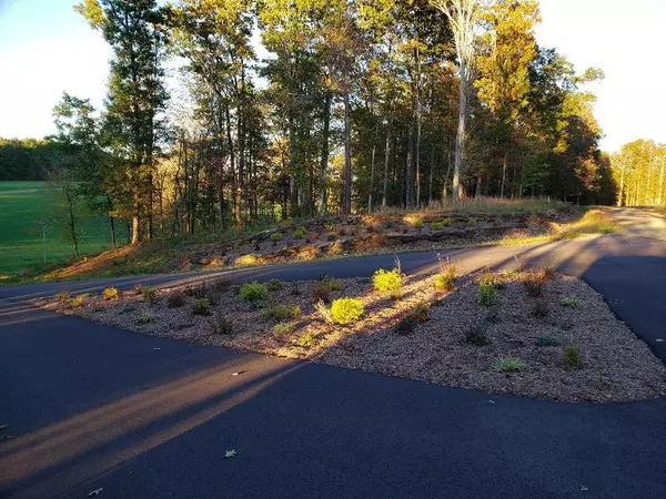 Ennice, NC 28623,TBD Crestview Mountain Dr Lot 49