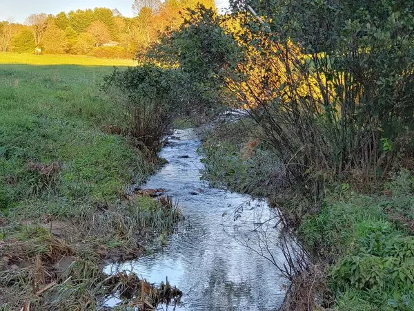 Ennice, NC 28623,TBD Crestview Mountain Dr Lot 49