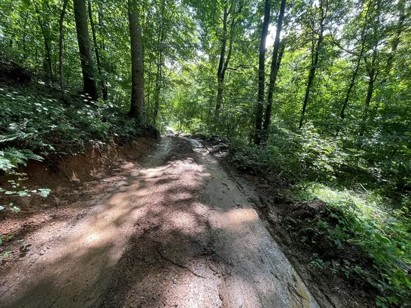 Saltville, VA 24370,TBD Allison Gap Road