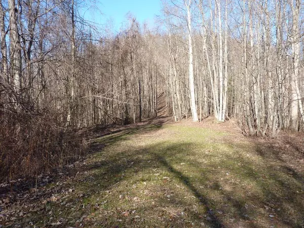 Meadows Of Dan, VA 24120,TBD Germantown Road