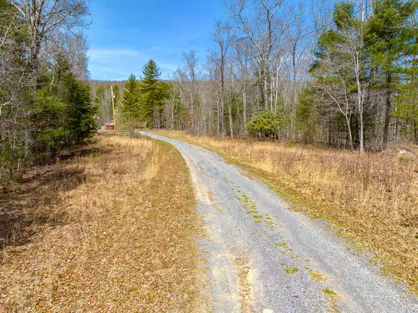 Bland, VA 24315,Lot 5 Sunset Lane