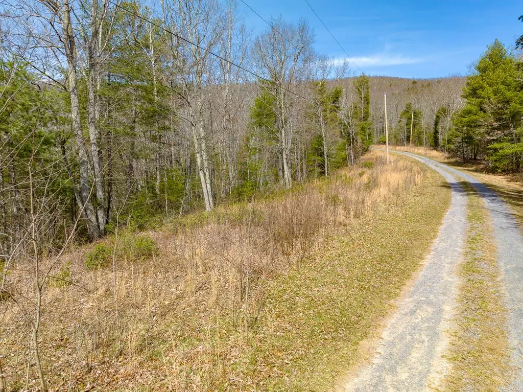Bland, VA 24315,Lot 5 Sunset Lane