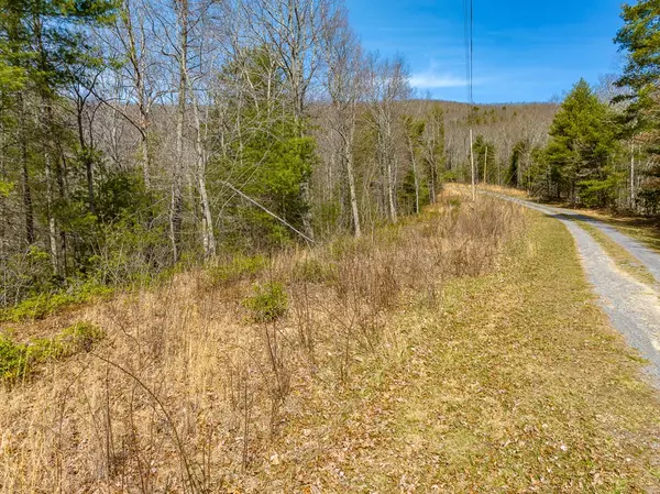 Bland, VA 24315,Lot 5 Sunset Lane