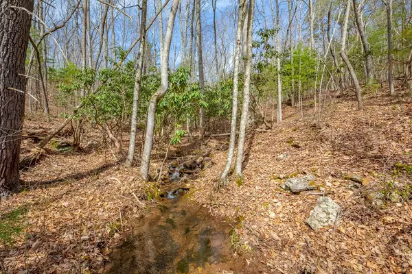 Bland, VA 24315,Lot12/14 Lake Forest Lane