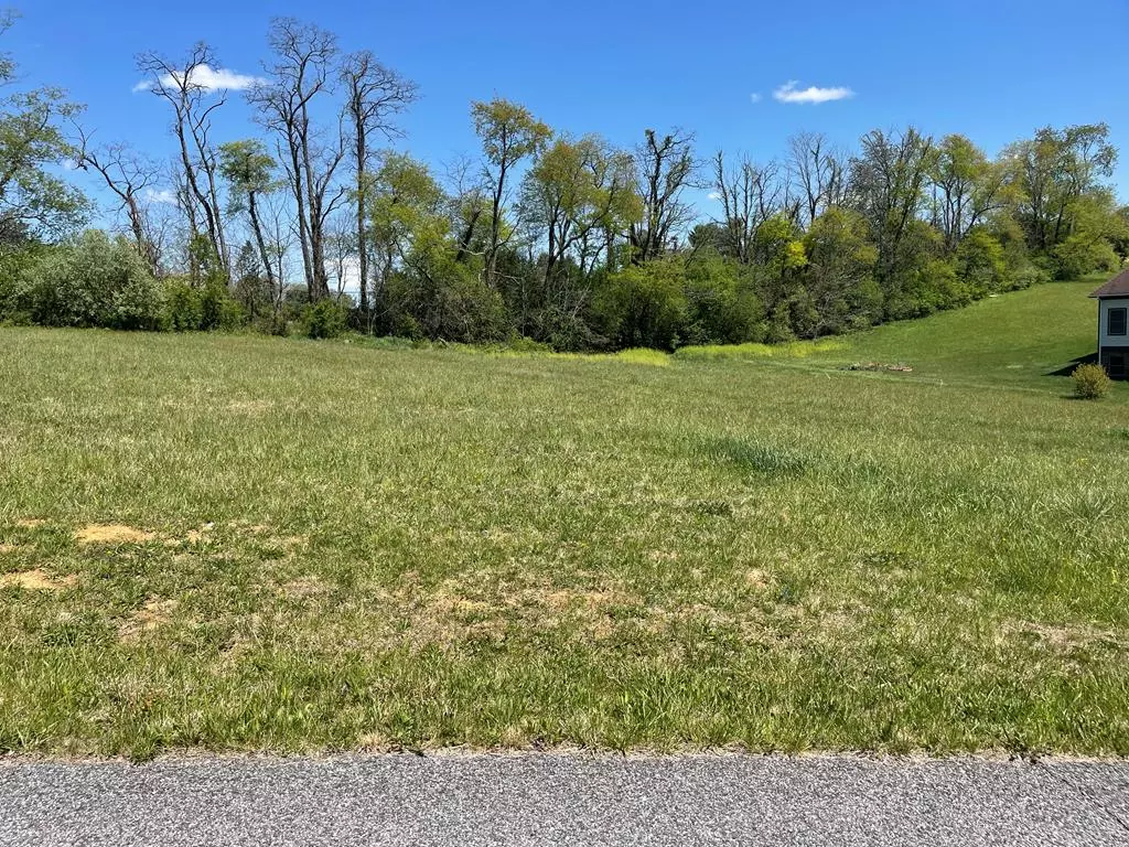 Wytheville, VA 24382,TBD Caroline Circle
