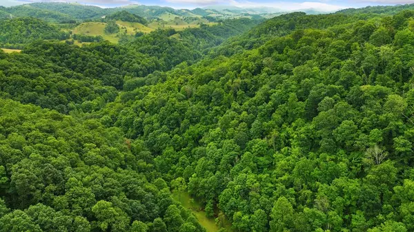 Honaker, VA 24260,TBD Thompson Creek Road