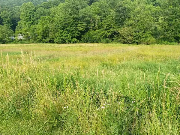 Mouth Of Wilson, VA 24363,3323 Rugby Road