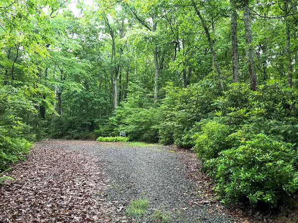 Fancy Gap, VA 24328,TBD Forest Park Lane