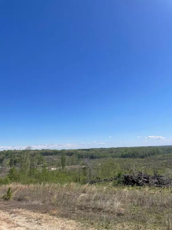 Paris, TN 38242,0 E L Walker