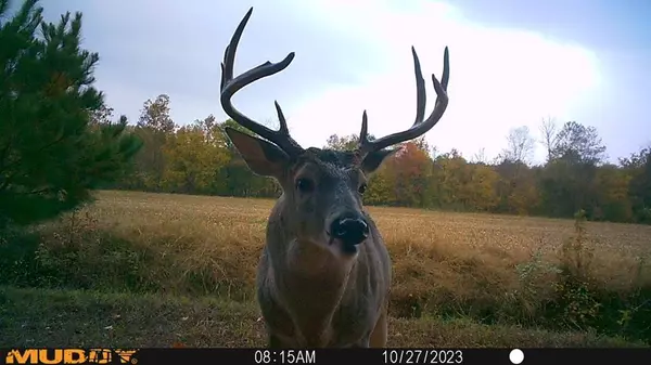 Cottage Grove, TN 38224,0000 Mcclure Rd