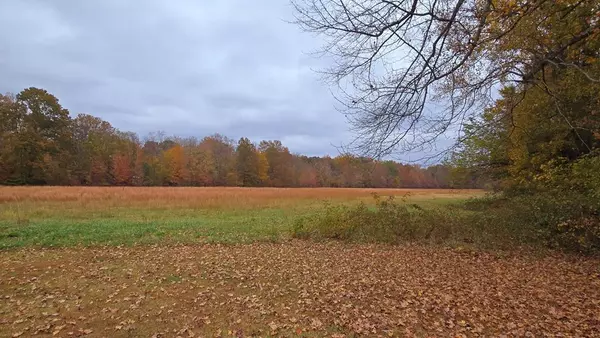 Paris, TN 38242,1105 Hwy 77