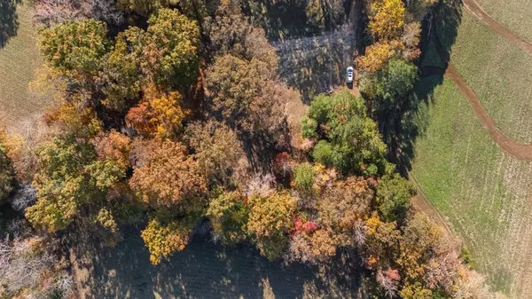 Buchanan, TN 38222,12225 Off Highway 79 N