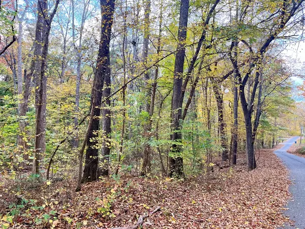 Springville, TN 38256,000 Sandy Beach Rd.