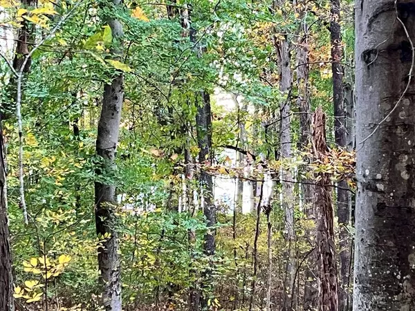 Springville, TN 38256,000 Sandy Beach Rd.