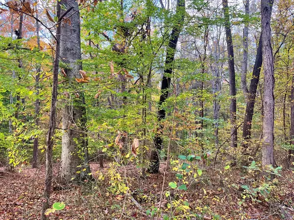 Springville, TN 38256,000 Sandy Beach Rd.