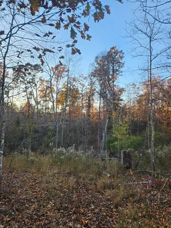 Springville, TN 38256,0 W. Antioch Rd.