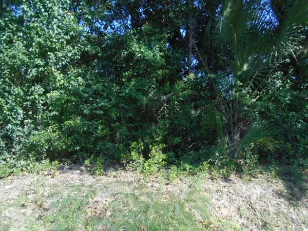 Quitman, GA 31643,000 Gordon Street