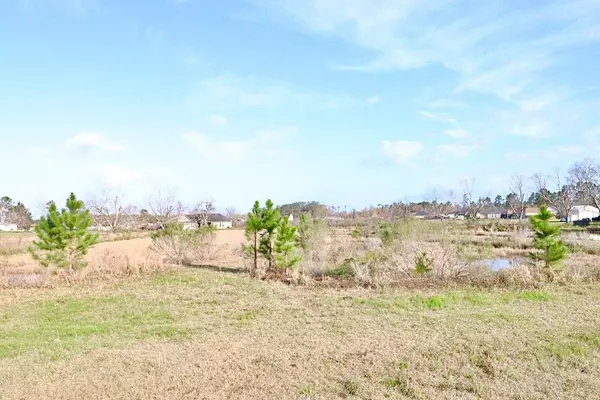 Lakeland, GA 31635,7.97 ac Boyette Road