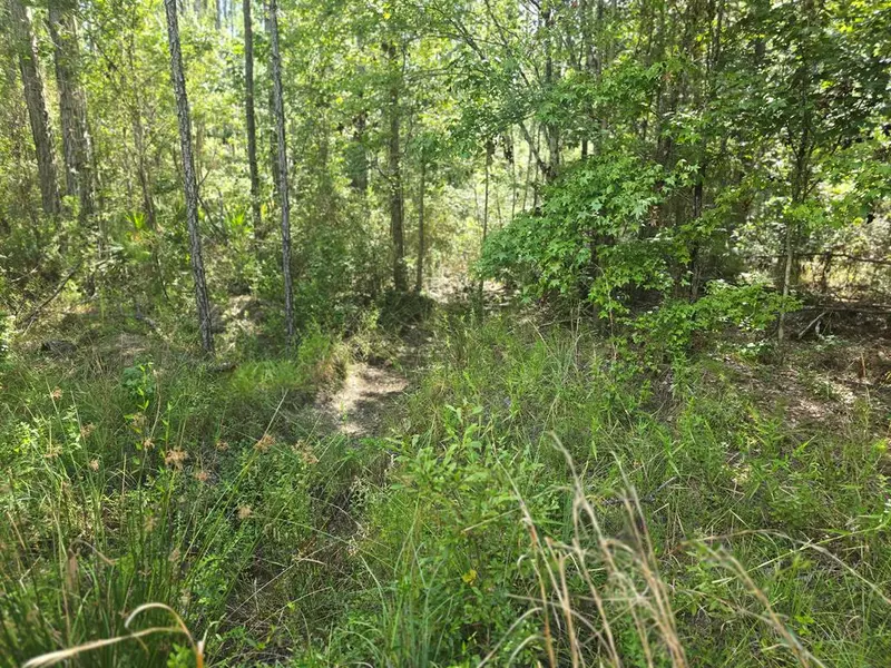 Lot 69 Magnolia Plantation, White Oak, GA 31568