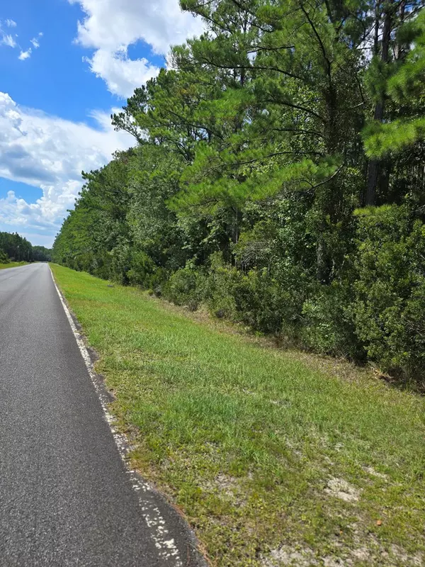 White Oak, GA 31568,Lot 69 Magnolia Plantation