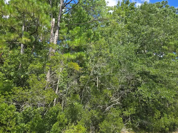 White Oak, GA 31568,Lot 69 Magnolia Plantation