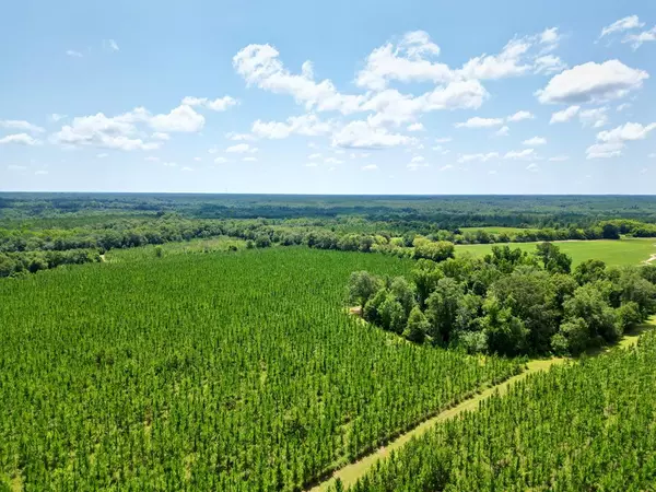 0 Harper Rd., Coleman, GA 39840