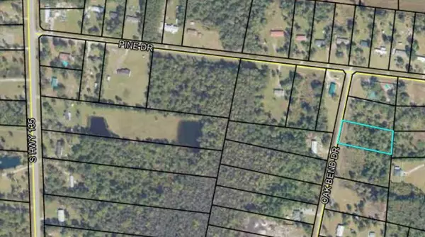 Naylor, GA 31641,13 Oak Bend Drive