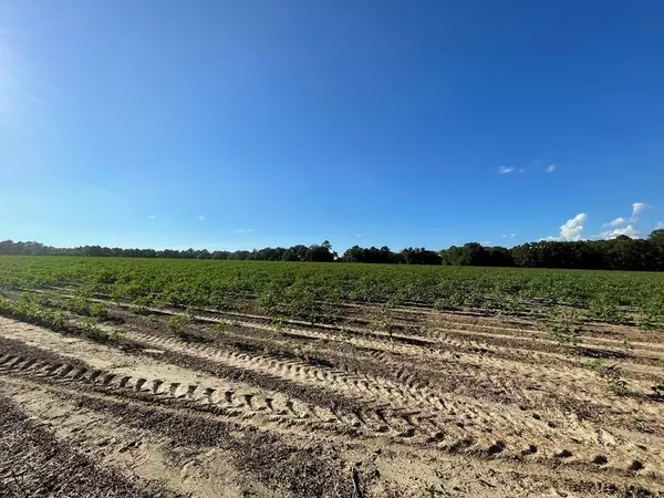 Nashville, GA 31639,0 Nashville Enigma Hwy