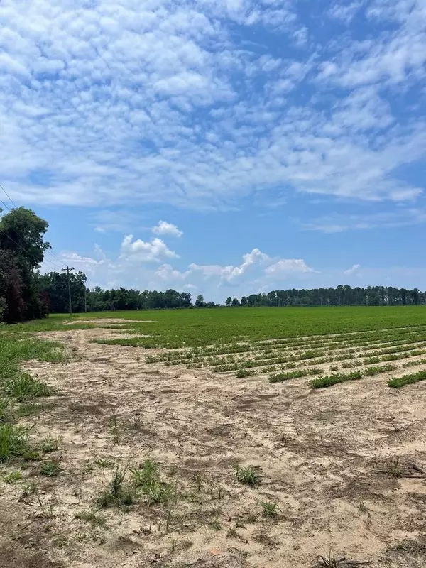 Nashville, GA 31639,0 Nashville Enigma Hwy