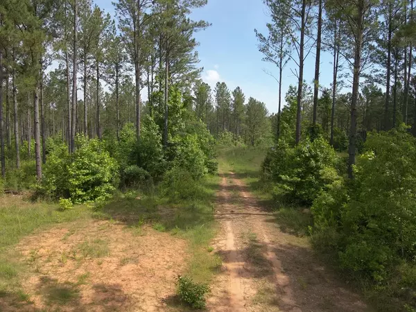 Greenville, GA 30222,98.81 Ellis Rd